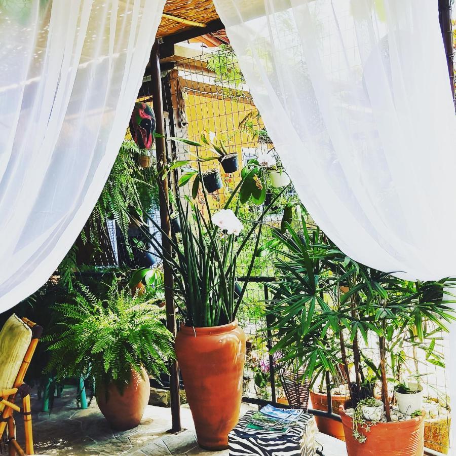 Recanto Toca Das Plantas De Ilhabela II Bagian luar foto