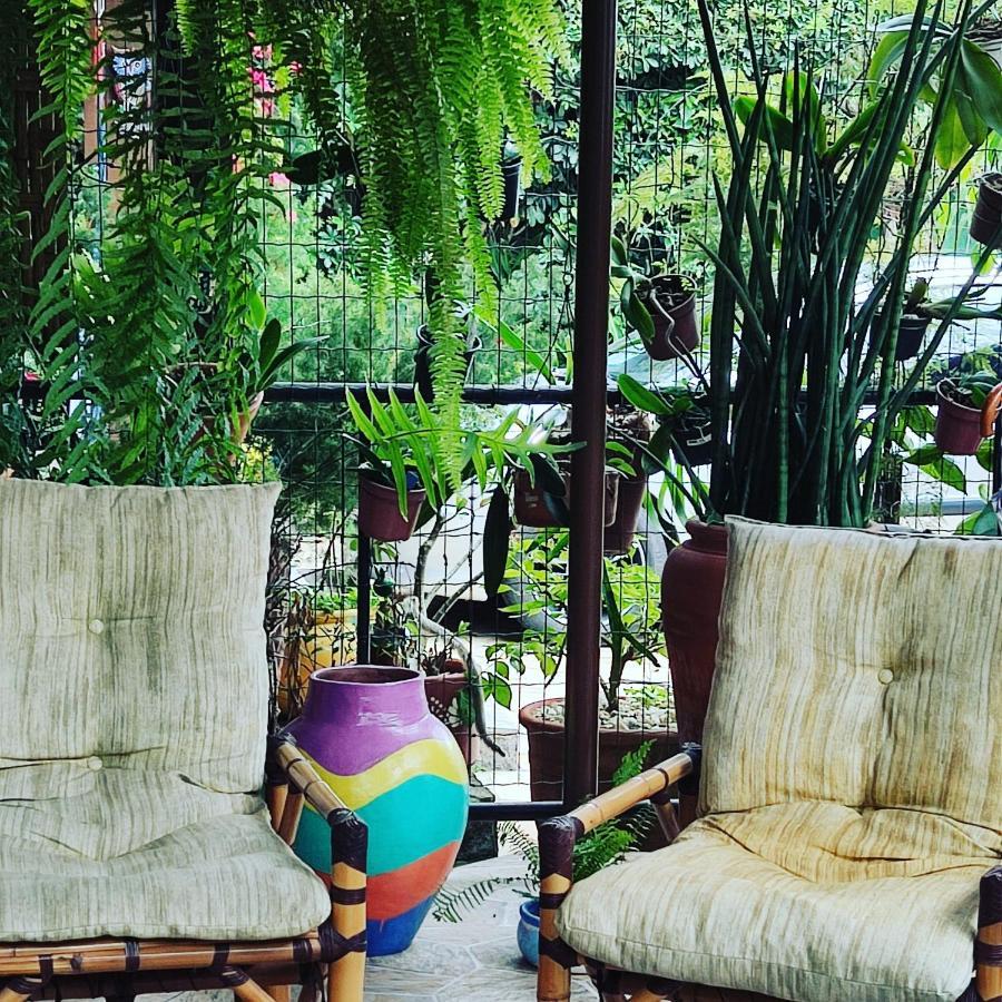Recanto Toca Das Plantas De Ilhabela II Bagian luar foto