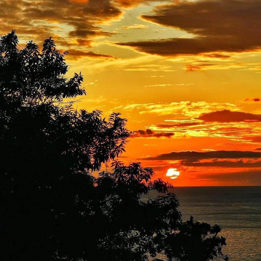 Recanto Toca Das Plantas De Ilhabela II Bagian luar foto