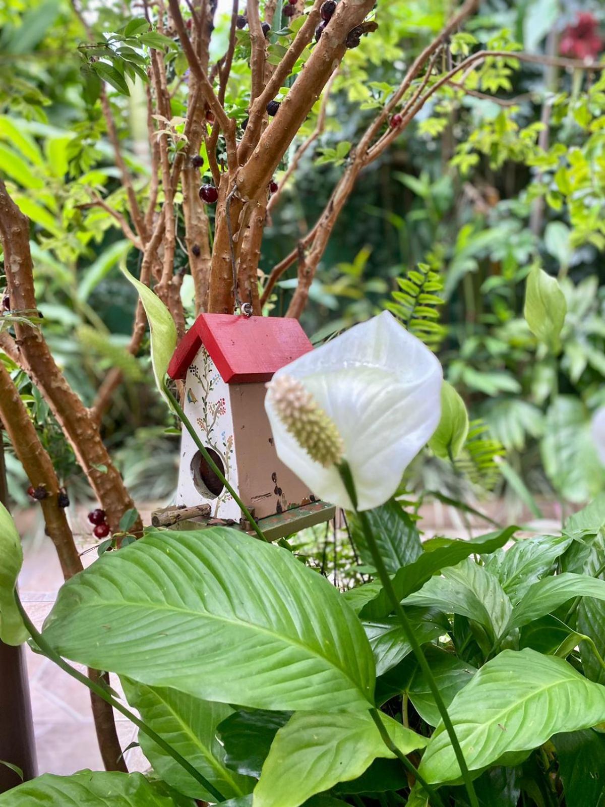 Recanto Toca Das Plantas De Ilhabela II Ruang foto