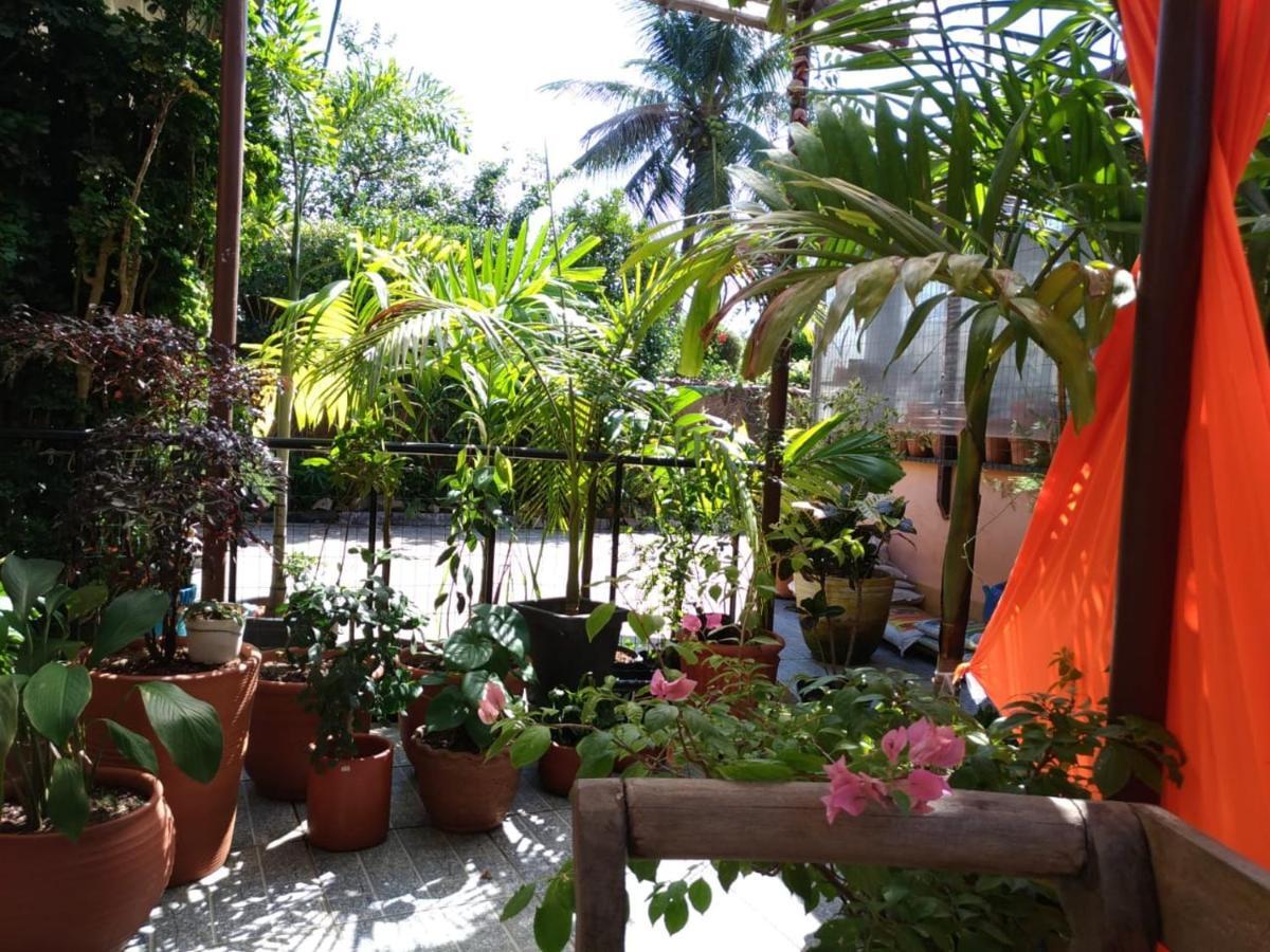Recanto Toca Das Plantas De Ilhabela II Bagian luar foto